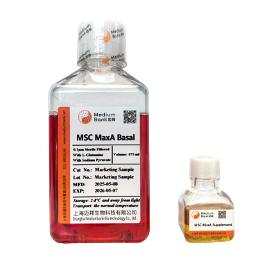 MSC MaxA