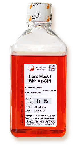 CHO Cell Transient Transfectio