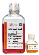 Mesenchymal Stem Cell Culture Medium