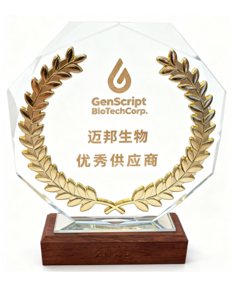 MediumBank Honored with 