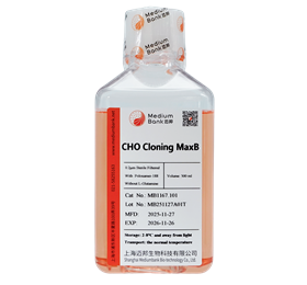 CHO Cloning MaxB 
