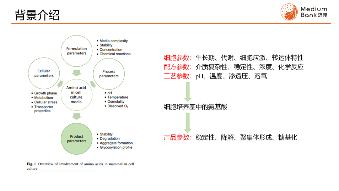 M生物智慧库 第3期 | 哺乳动物细胞培养基中的氨基酸(图3)