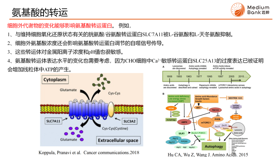 M生物智慧库 第3期 | 哺乳动物细胞培养基中的氨基酸(图8)