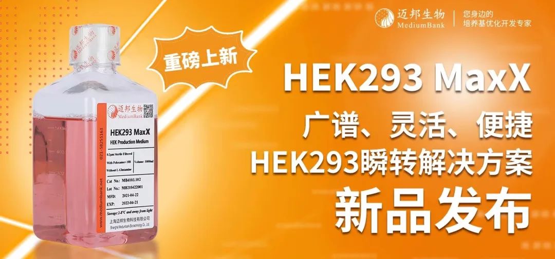 新品上市 | HEK293 MaxX(图1)