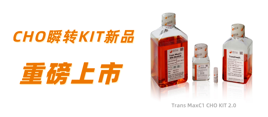 相约T20+大会，共话中国生物药企供应链变革之路！(图4)