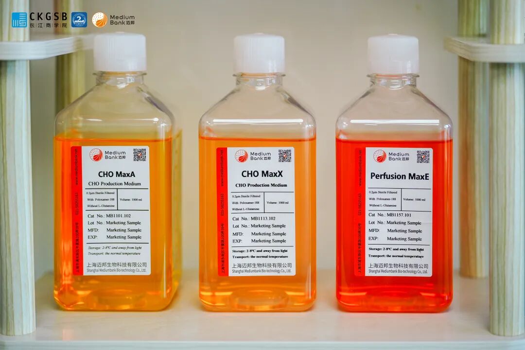 智汇长江·走进迈邦｜长江商学院EMBA46期2班参访迈邦生物 共探生物医药产业高质量发展新征程(图6)